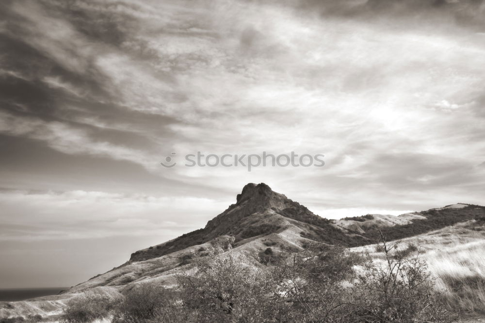 Colorado Desert