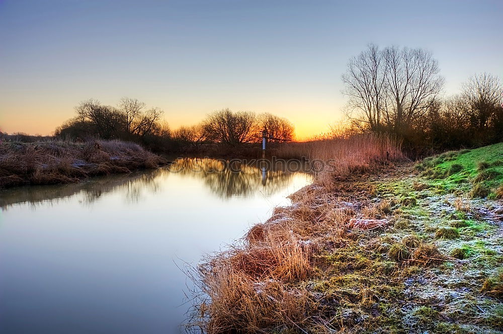 Similar – Image, Stock Photo A row of trees on the shore