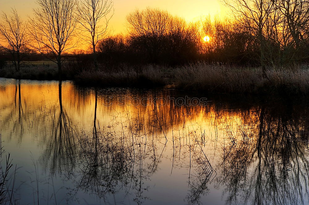 Similar – Lake in Sepia Environment