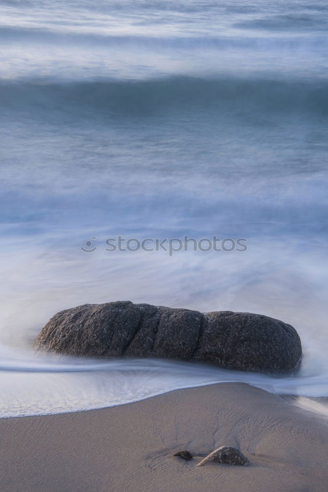 swan stone Nature