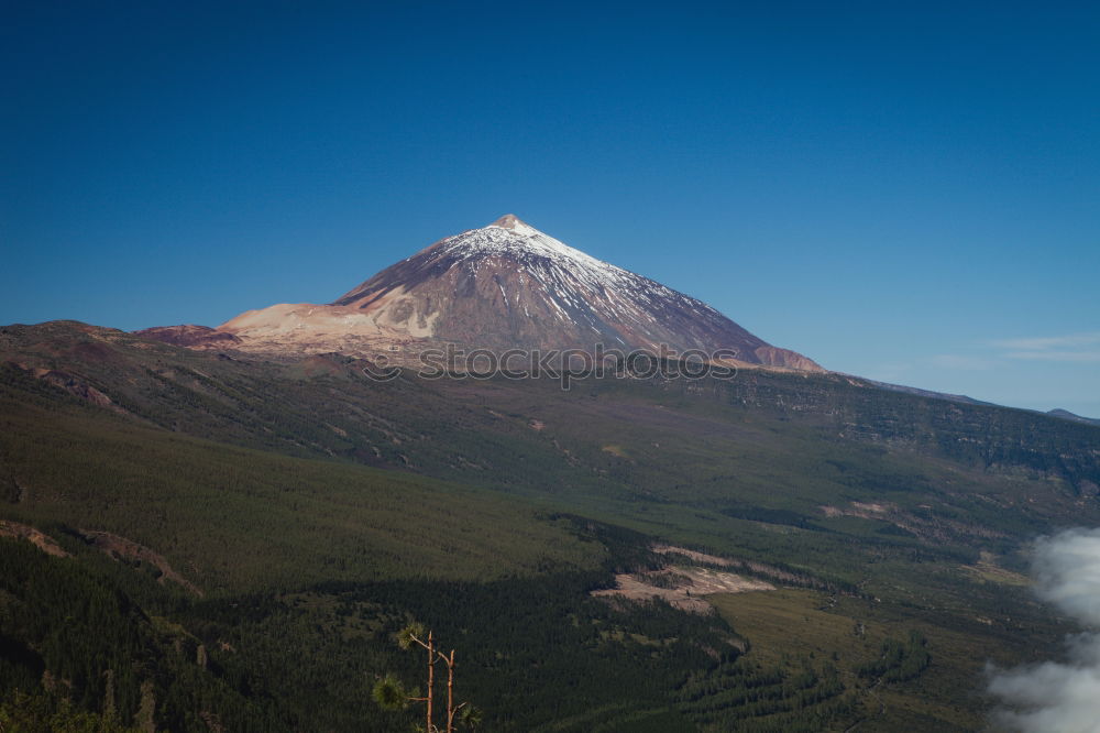 Similar – Wild horses in front of the Cotopaxi volcano in Ecuador