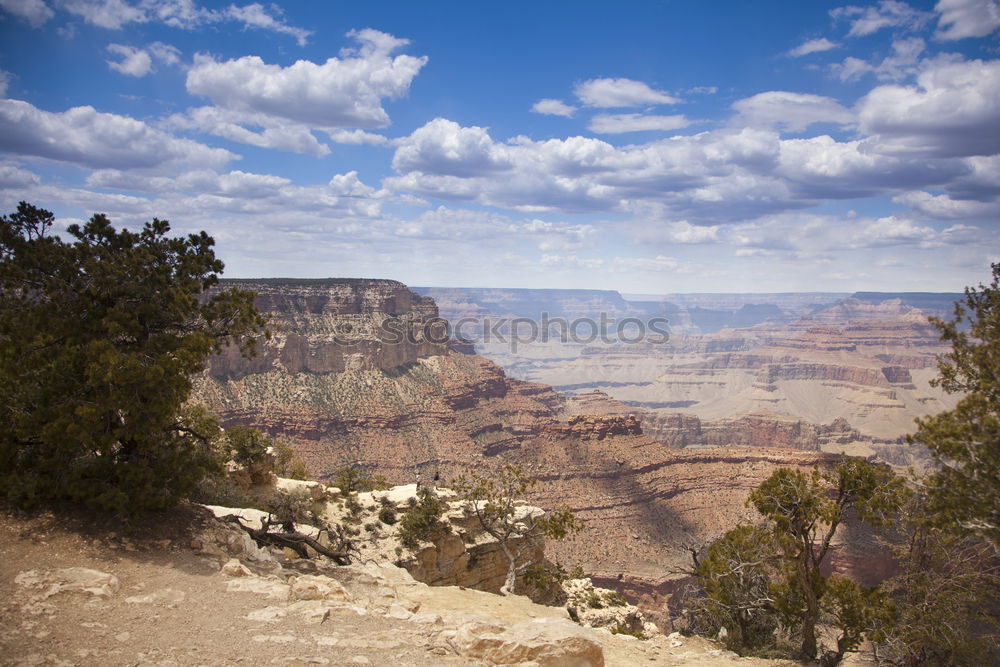 Similar – Foto Bild Der Canyon Grand Canyon