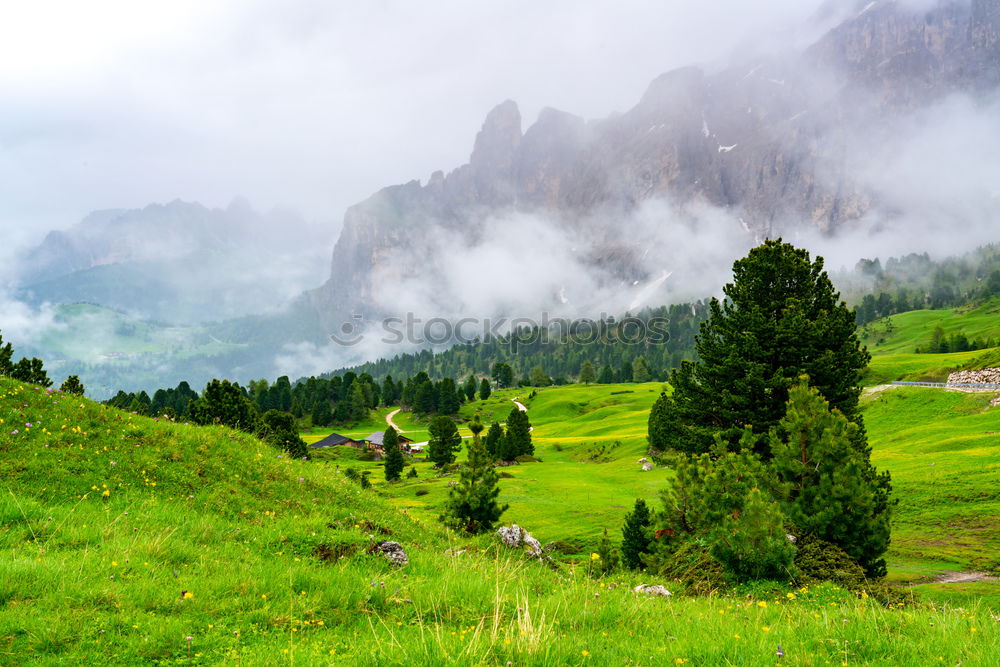 Similar – Image, Stock Photo Spring storm in mountains panorama. Dandelion meadow.