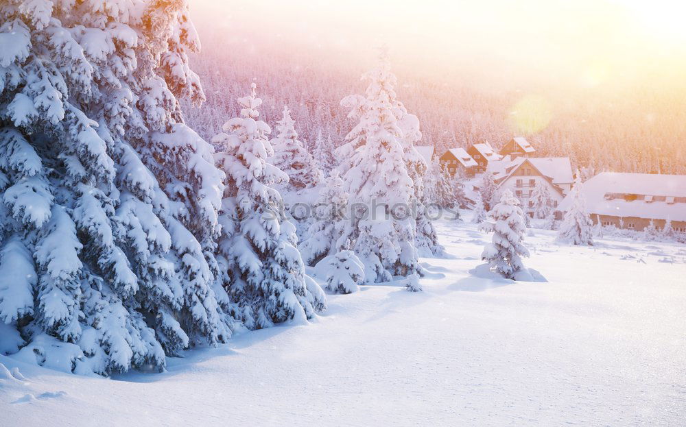 Image, Stock Photo Evening sun in the winter landscape