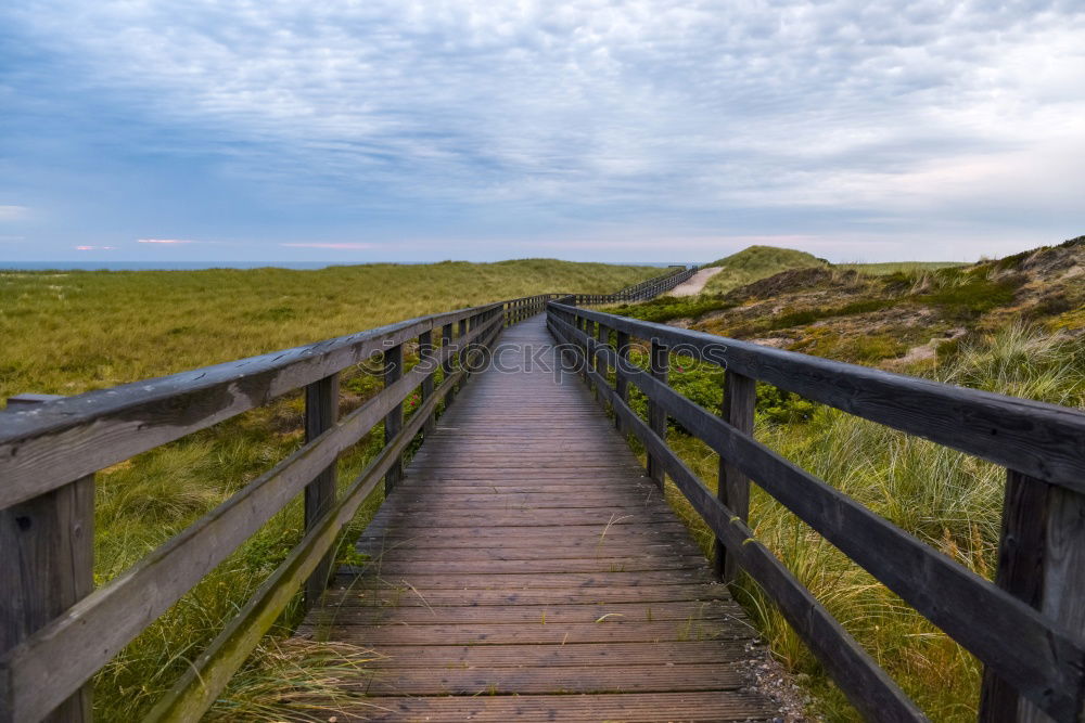 Similar – Image, Stock Photo Landscape in the dunes on the island of Amrum