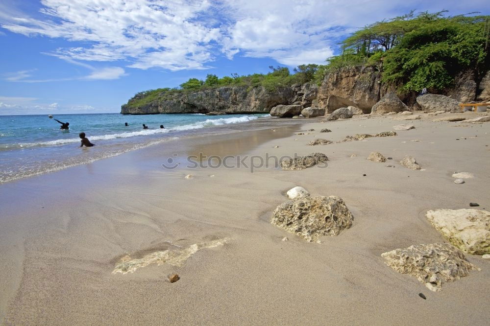 Similar – Beach in New Zealand