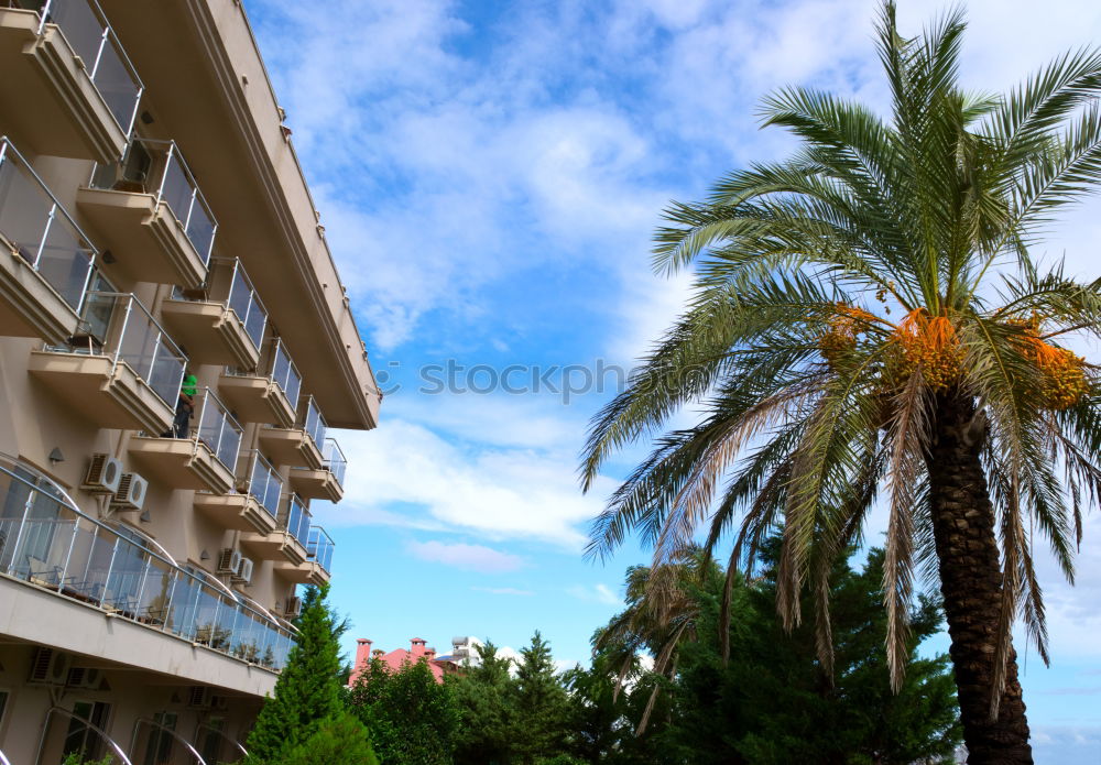 Similar – Image, Stock Photo voyeurism Swimming pool