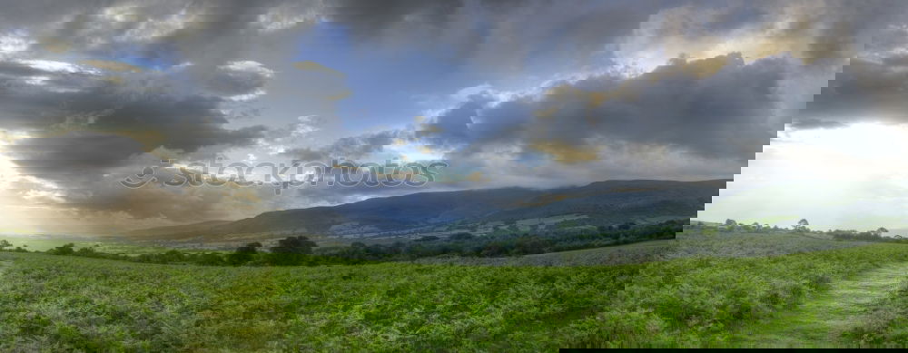 Similar – Image, Stock Photo Mori Nature Landscape