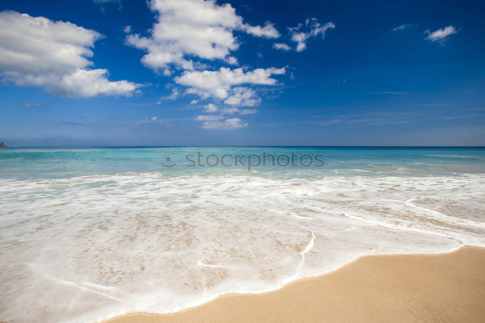 Similar – Schönster Strand der Welt