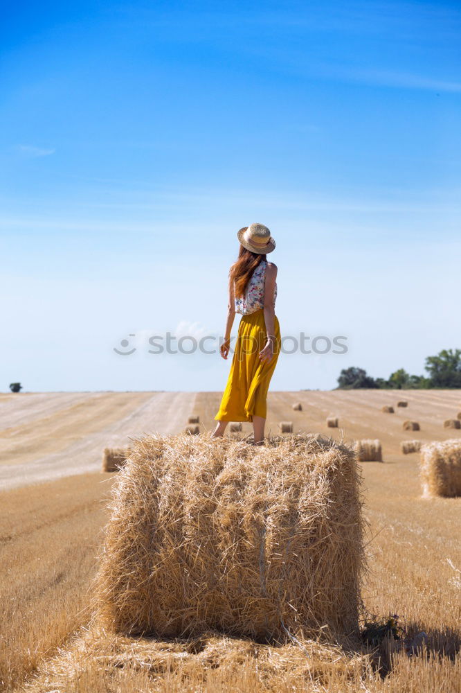 Foto Bild Kartoffelernte in Peru