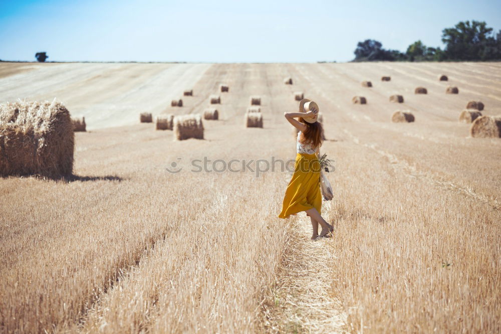 Similar – cornfield Human being