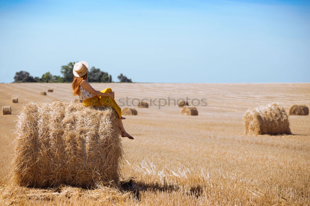 Similar – Girl on hay bales girl