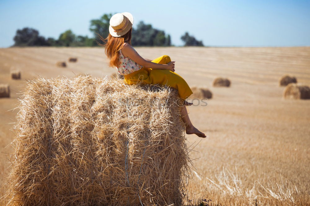 Similar – Back view of a Pensive boy in the straw field