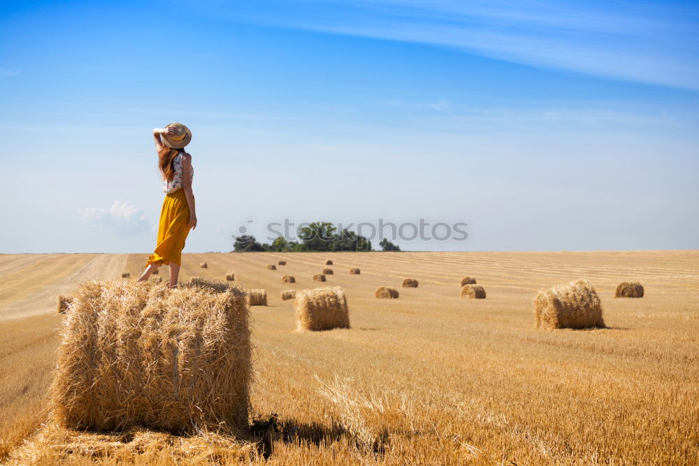 Similar – Back view of a Pensive boy in the straw field