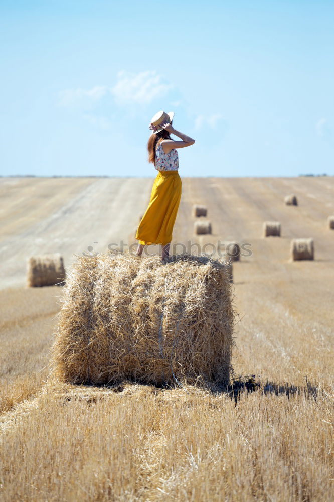 Back view of a Pensive boy in the straw field