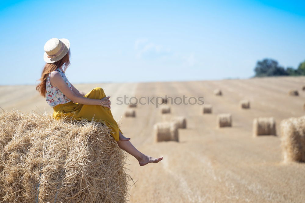 Similar – Image, Stock Photo it was once in summer …….