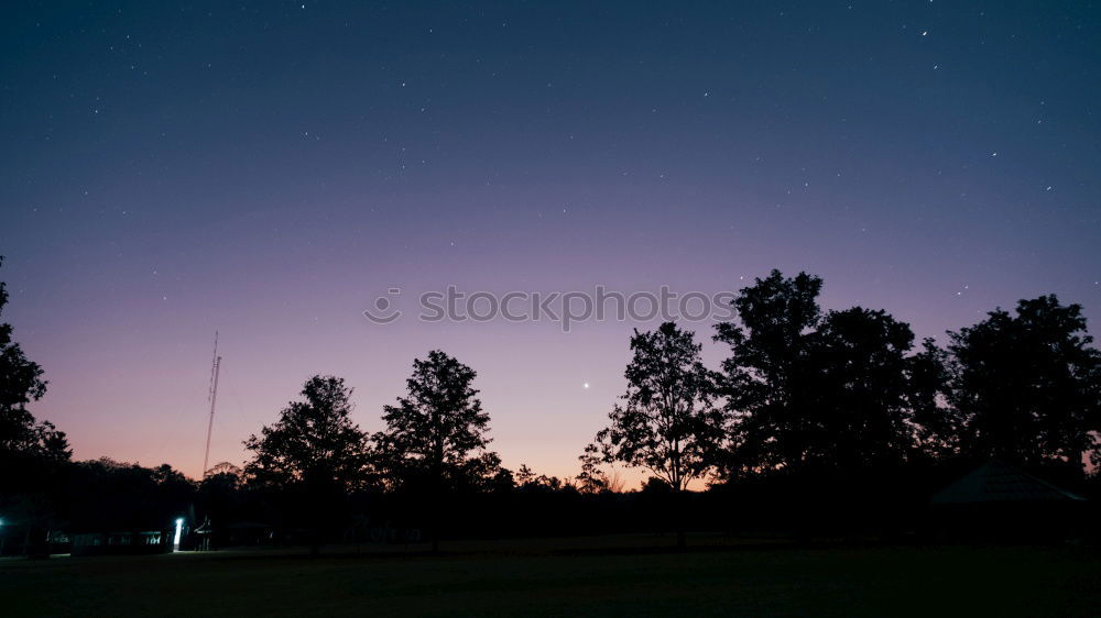 Similar – Image, Stock Photo Twilight in the garden