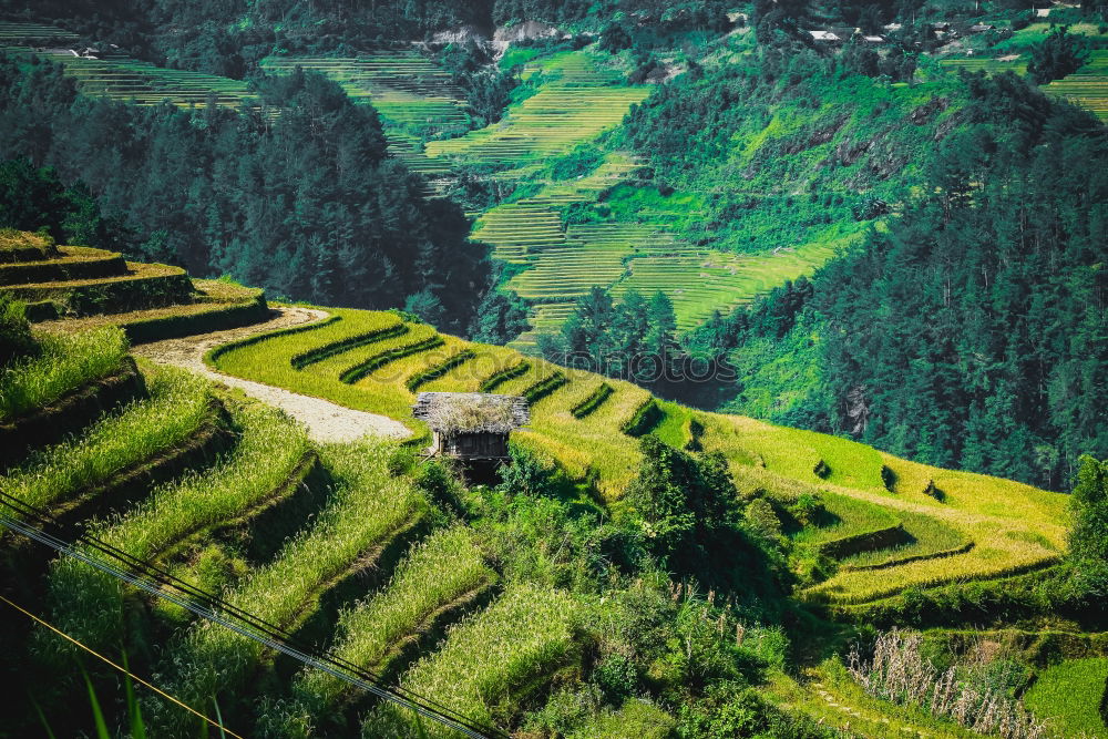 Similar – Image, Stock Photo Sunny evening in mountains. Autumn village on hillsides