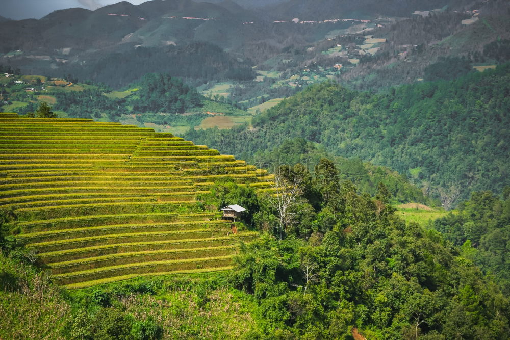 Similar – Image, Stock Photo Inca shrine gardens