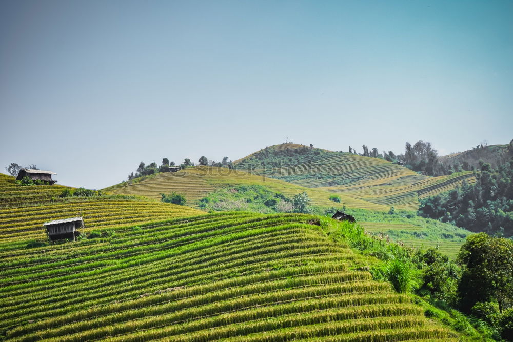 Similar – Navarre Nature Landscape