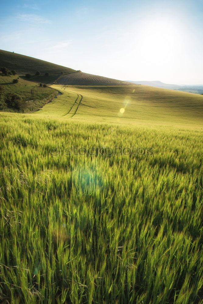 Similar – Spring by bike Contentment