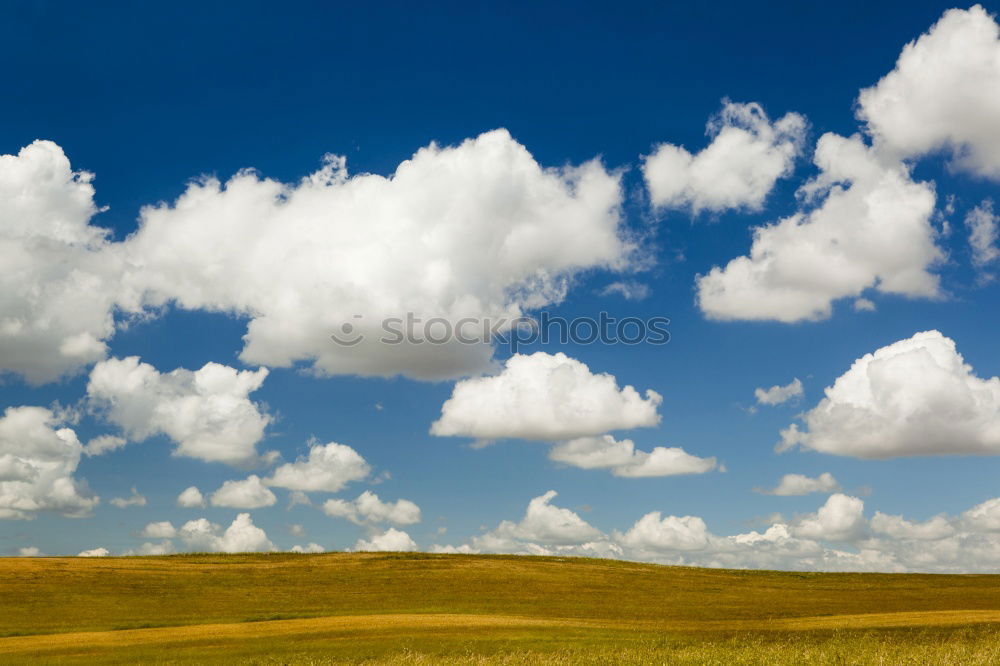 Similar – Greener Grass Nature Sky