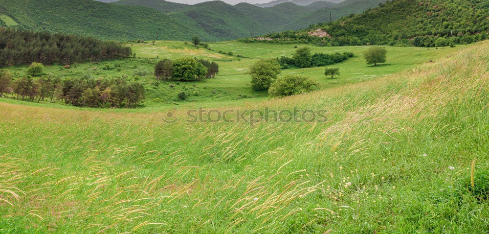 Similar – Misty hill Hill Fog Green