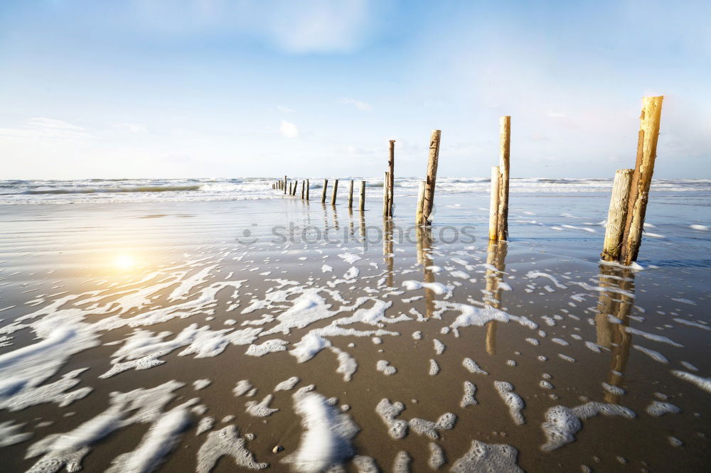 Similar – Image, Stock Photo Strandgut#1 Landscape