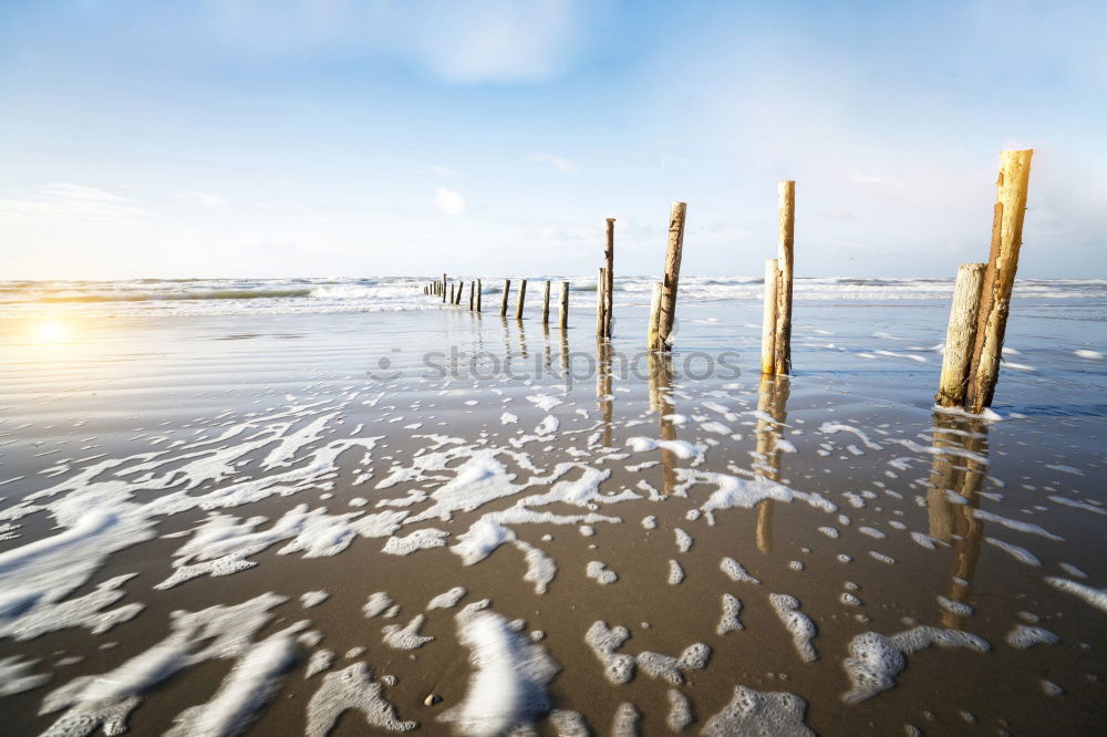 Similar – Image, Stock Photo Strandgut#1 Landscape