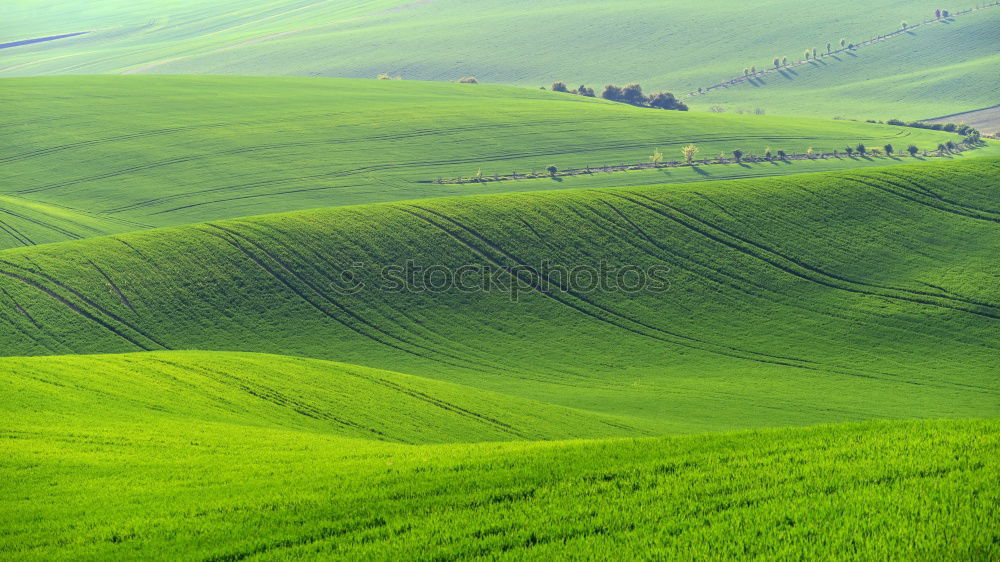 Similar – Foto Bild Umwege Landschaft Sommer