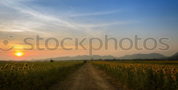 Similar – Image, Stock Photo Sunset Mountains and Fields