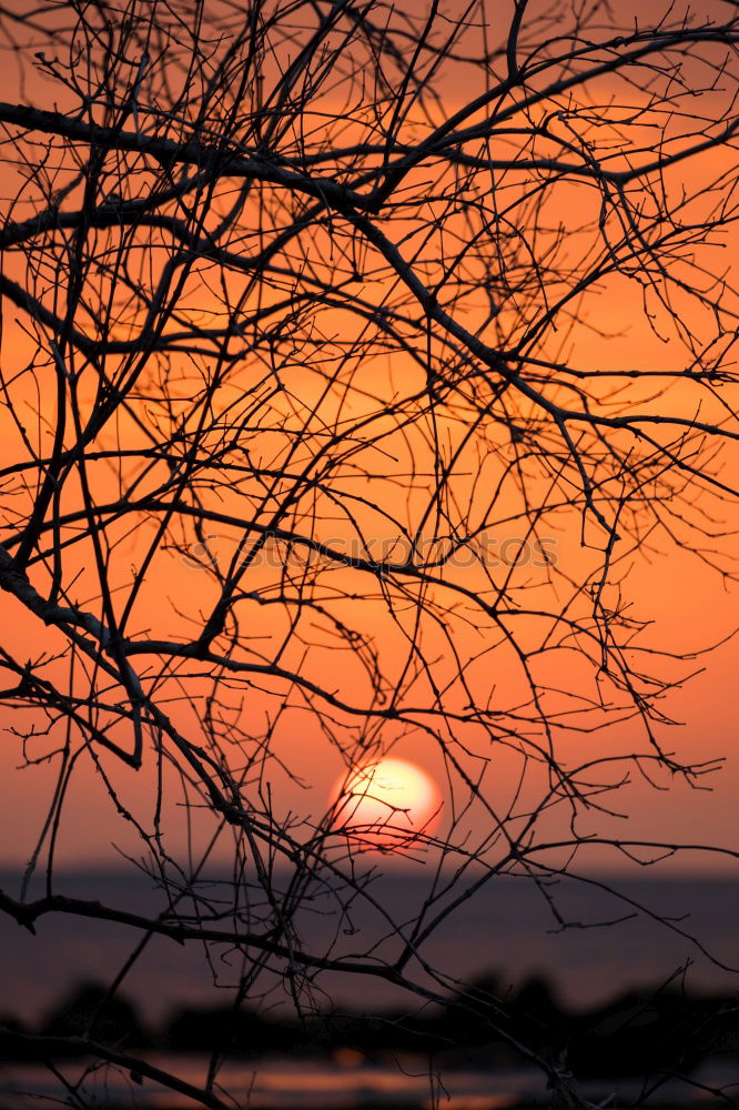 Similar – Image, Stock Photo Times of the waxing moon