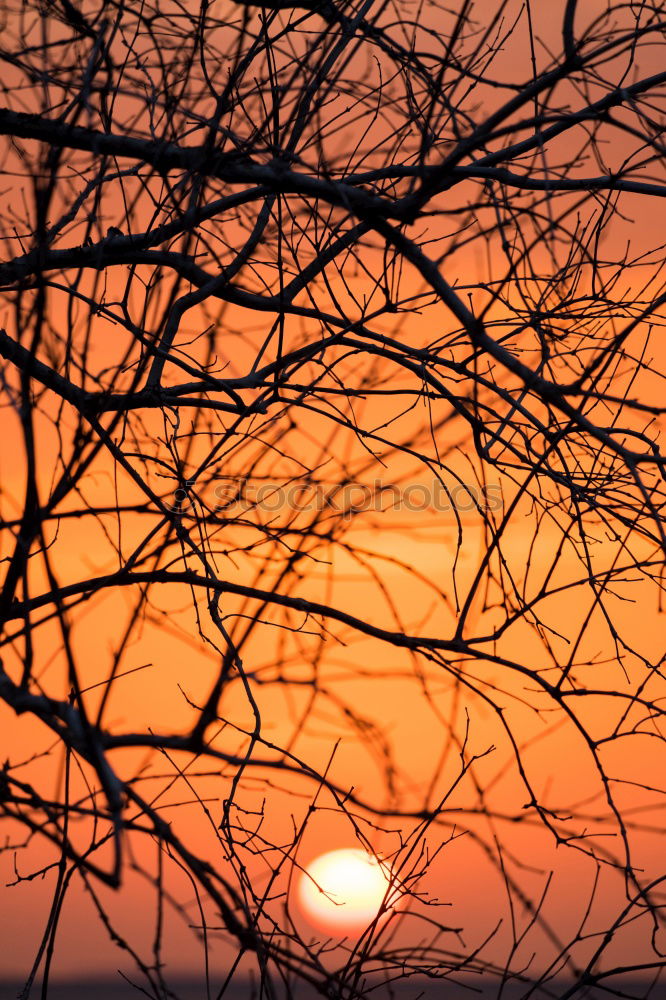 Similar – Image, Stock Photo sundown Sunset Dusk