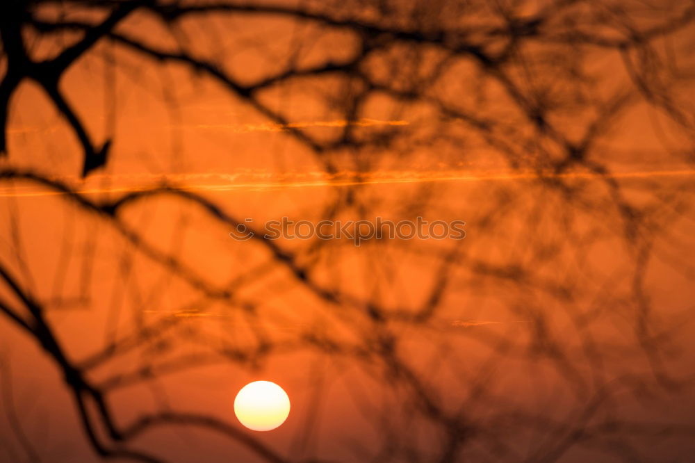 Similar – Image, Stock Photo Baltic sea Environment