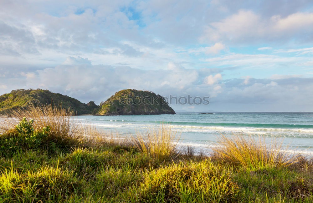 Similar – Image, Stock Photo awakeness. Cloudless sky