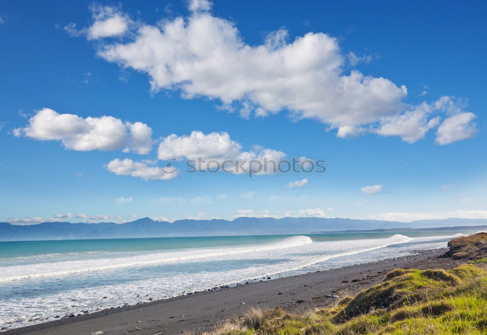 Similar – Image, Stock Photo Coastal forest at the Baltic Sea near Nienhagen