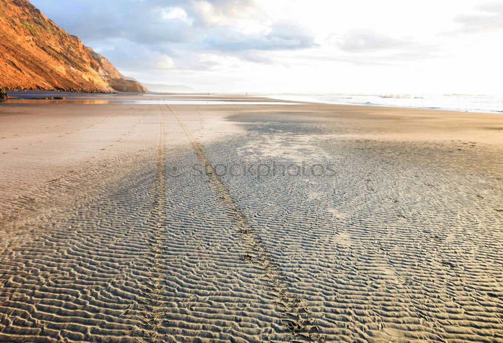 Similar – Image, Stock Photo two happy dogs having fun at the beach. Running