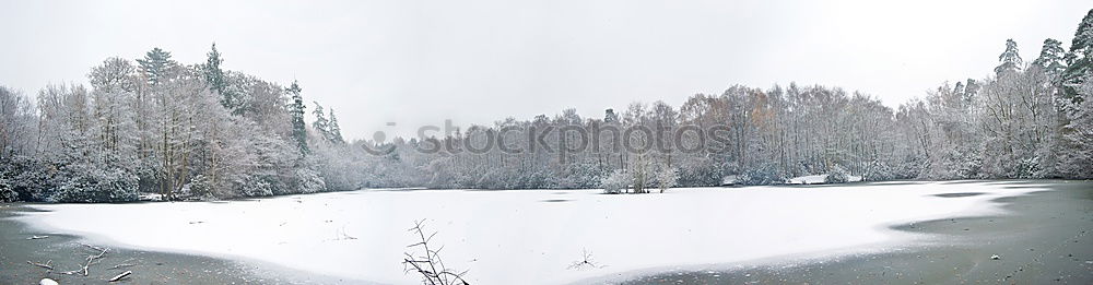 Similar – Foto Bild Bodenseepanorama Bregenz