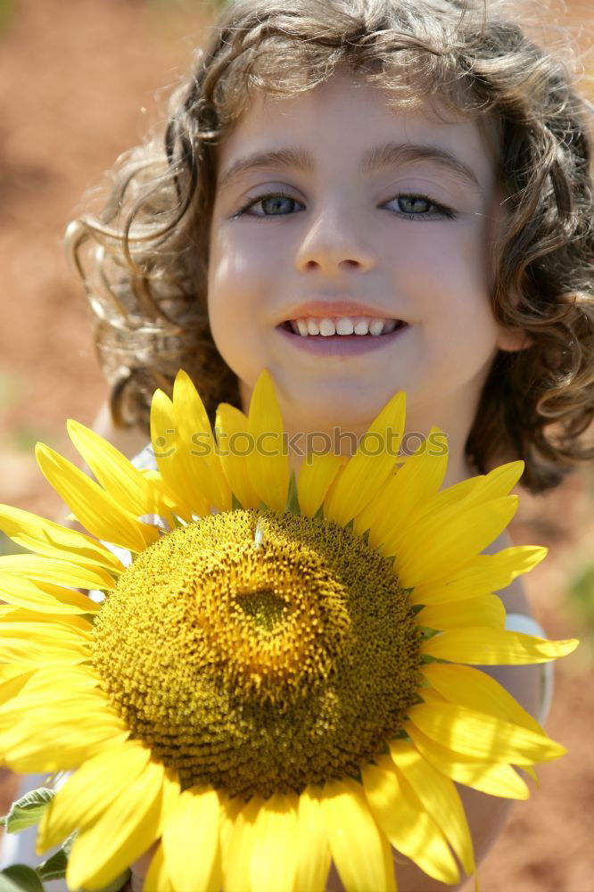 Similar – boy playing in sunflower field