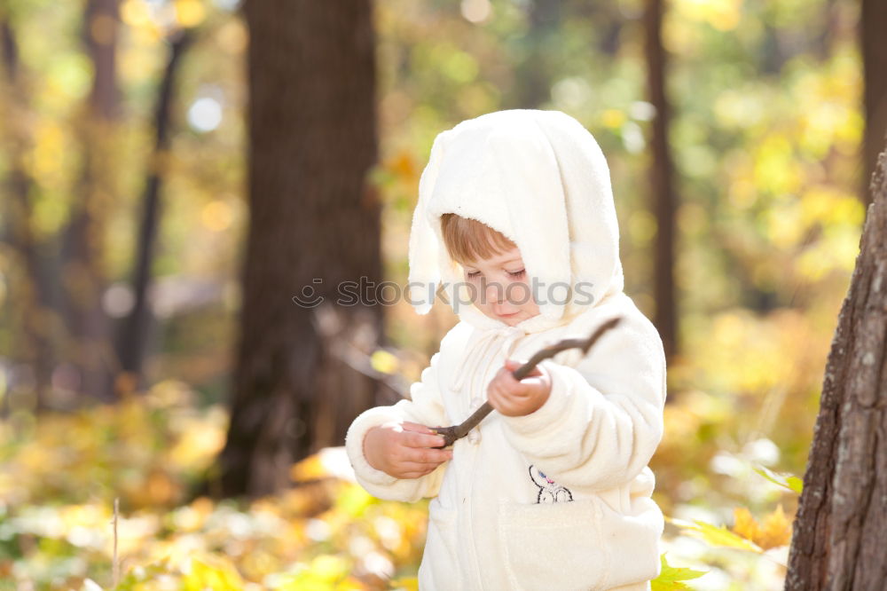 Similar – Image, Stock Photo At the edge of the forest