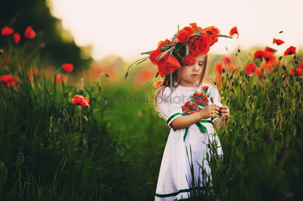 Similar – Image, Stock Photo For you the poppy should bloom…