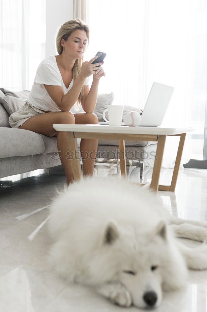 Similar – Image, Stock Photo Puppy sleeping on owner laps