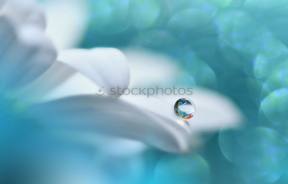 Similar – Image, Stock Photo garden world Environment