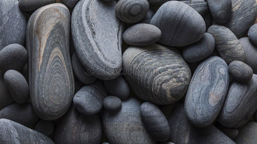 Similar – Image, Stock Photo stony beach Beach