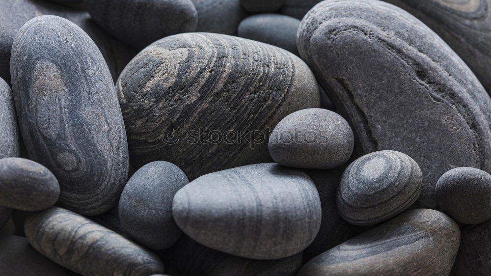 Similar – Image, Stock Photo stony beach Beach