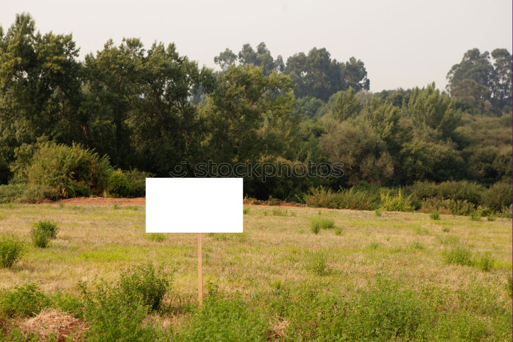 Similar – Image, Stock Photo Golf course photo shooting