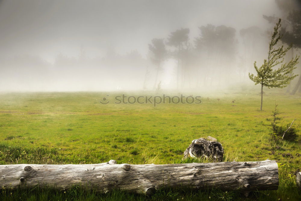 Similar – Image, Stock Photo End time mood in the Dolomites