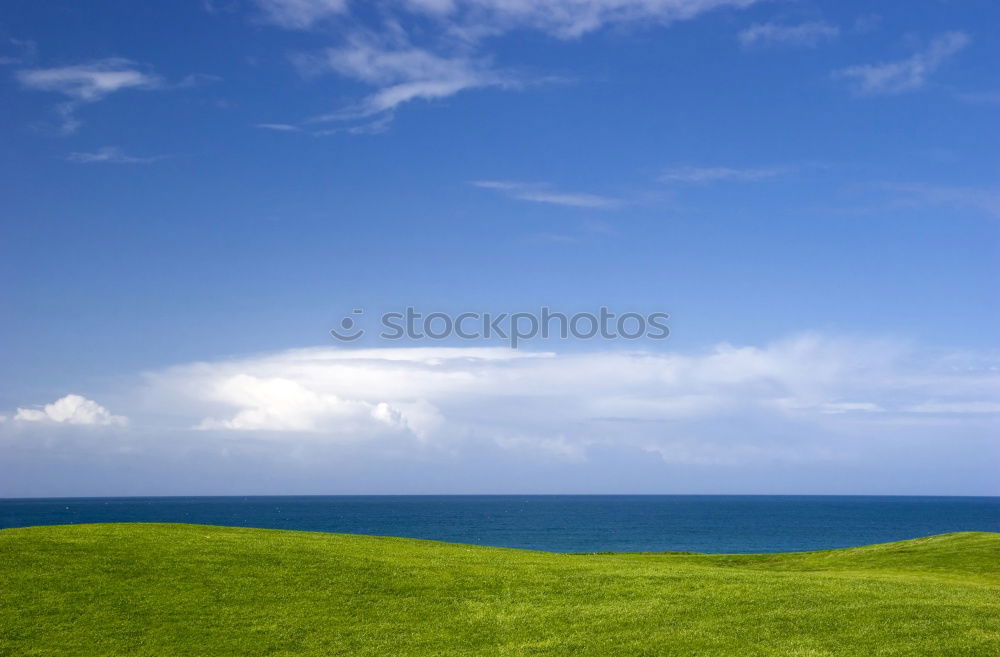 cornish hills Environment