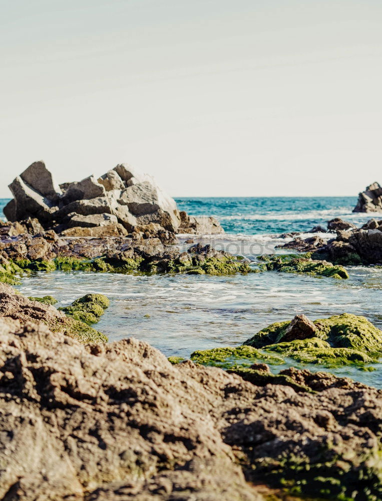 Similar – Landscape And Seascape View Of Ocean In Algarve, Portugal