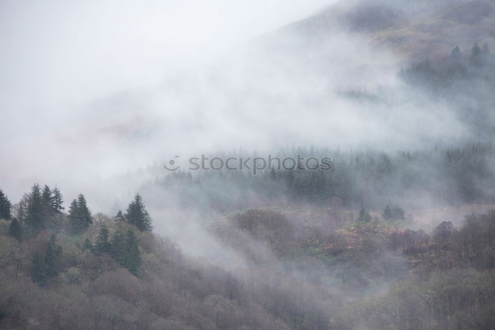 Similar – yellow gorse at Arthur’s Seat in Edinburgh